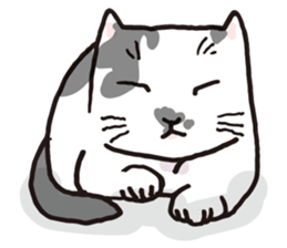 Feeling of  white  and  black cat sticker #6831130