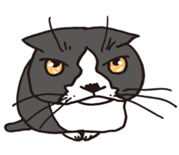 Feeling of  white  and  black cat sticker #6831144