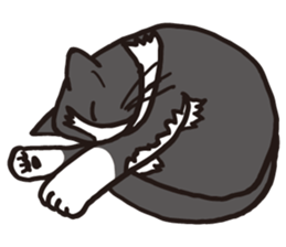 Feeling of  white  and  black cat sticker #6831147