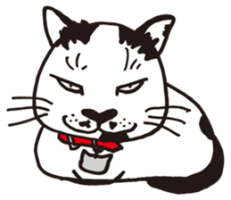 Feeling of  white  and  black cat sticker #6831154