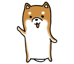 Sato-kun of the Shiba Inu sticker #6832385