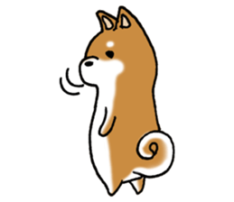 Sato-kun of the Shiba Inu sticker #6832386