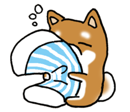 Sato-kun of the Shiba Inu sticker #6832387