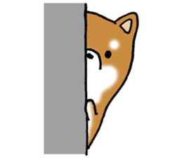 Sato-kun of the Shiba Inu sticker #6832388