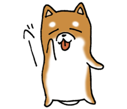 Sato-kun of the Shiba Inu sticker #6832389