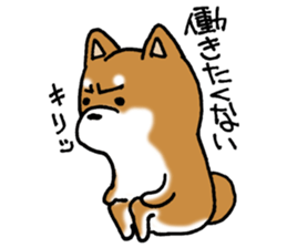 Sato-kun of the Shiba Inu sticker #6832390