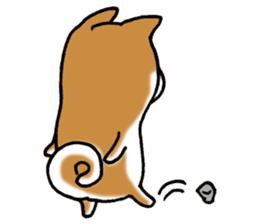 Sato-kun of the Shiba Inu sticker #6832391