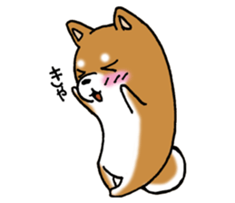 Sato-kun of the Shiba Inu sticker #6832392