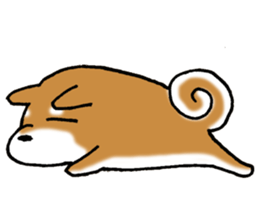 Sato-kun of the Shiba Inu sticker #6832396