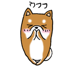 Sato-kun of the Shiba Inu sticker #6832397