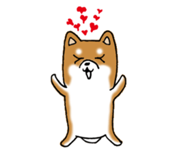 Sato-kun of the Shiba Inu sticker #6832398