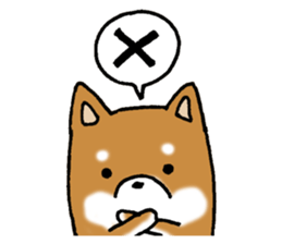 Sato-kun of the Shiba Inu sticker #6832399