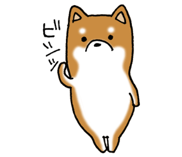 Sato-kun of the Shiba Inu sticker #6832402