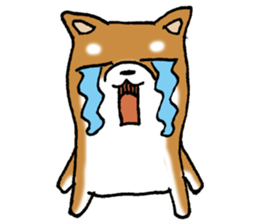 Sato-kun of the Shiba Inu sticker #6832403