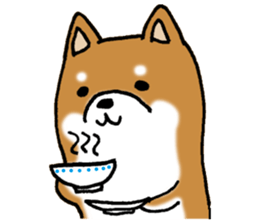 Sato-kun of the Shiba Inu sticker #6832405