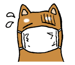Sato-kun of the Shiba Inu sticker #6832406