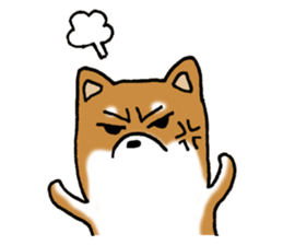 Sato-kun of the Shiba Inu sticker #6832408