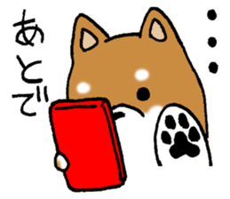 Sato-kun of the Shiba Inu sticker #6832410
