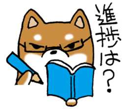 Sato-kun of the Shiba Inu sticker #6832411