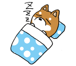 Sato-kun of the Shiba Inu sticker #6832415