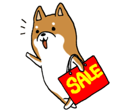 Sato-kun of the Shiba Inu sticker #6832416
