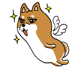 Sato-kun of the Shiba Inu sticker #6832417