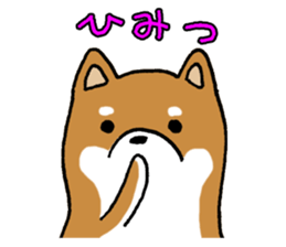 Sato-kun of the Shiba Inu sticker #6832420