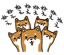 Sato-kun of the Shiba Inu sticker #6832423
