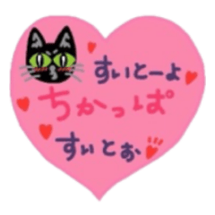 Riru of a black cat 2