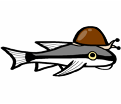 In the aquarium<Together with tank mate> sticker #6833569