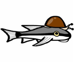 In the aquarium<Together with tank mate> sticker #6833569