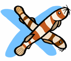 In the aquarium<Together with tank mate> sticker #6833599