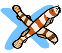 In the aquarium<Together with tank mate> sticker #6833599