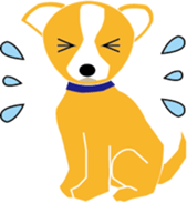 The happy life of  Pretty Chihuahua sticker #6837155