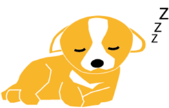 The happy life of  Pretty Chihuahua sticker #6837158
