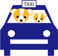 The happy life of  Pretty Chihuahua sticker #6837166