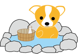The happy life of  Pretty Chihuahua sticker #6837178
