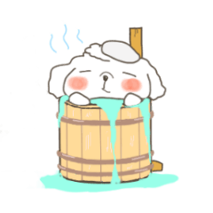 Every day of the toy poodle.