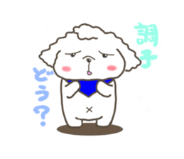 Every day of the toy poodle. sticker #6841995