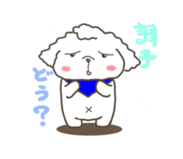 Every day of the toy poodle. sticker #6841995