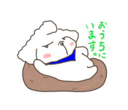 Every day of the toy poodle. sticker #6841997