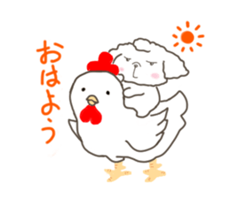 Every day of the toy poodle. sticker #6842012