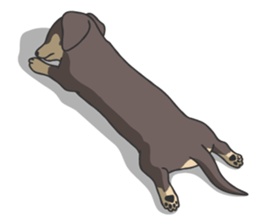 M. Dachshund sticker #6842727