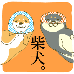 the Japanese dog KOUME 2