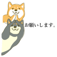 the Japanese dog KOUME 2 sticker #6850593