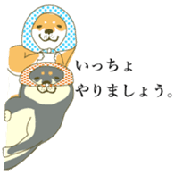 the Japanese dog KOUME 2 sticker #6850595