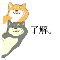 the Japanese dog KOUME 2 sticker #6850596