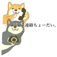 the Japanese dog KOUME 2 sticker #6850599