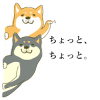 the Japanese dog KOUME 2 sticker #6850601