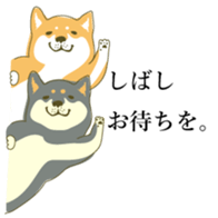 the Japanese dog KOUME 2 sticker #6850603